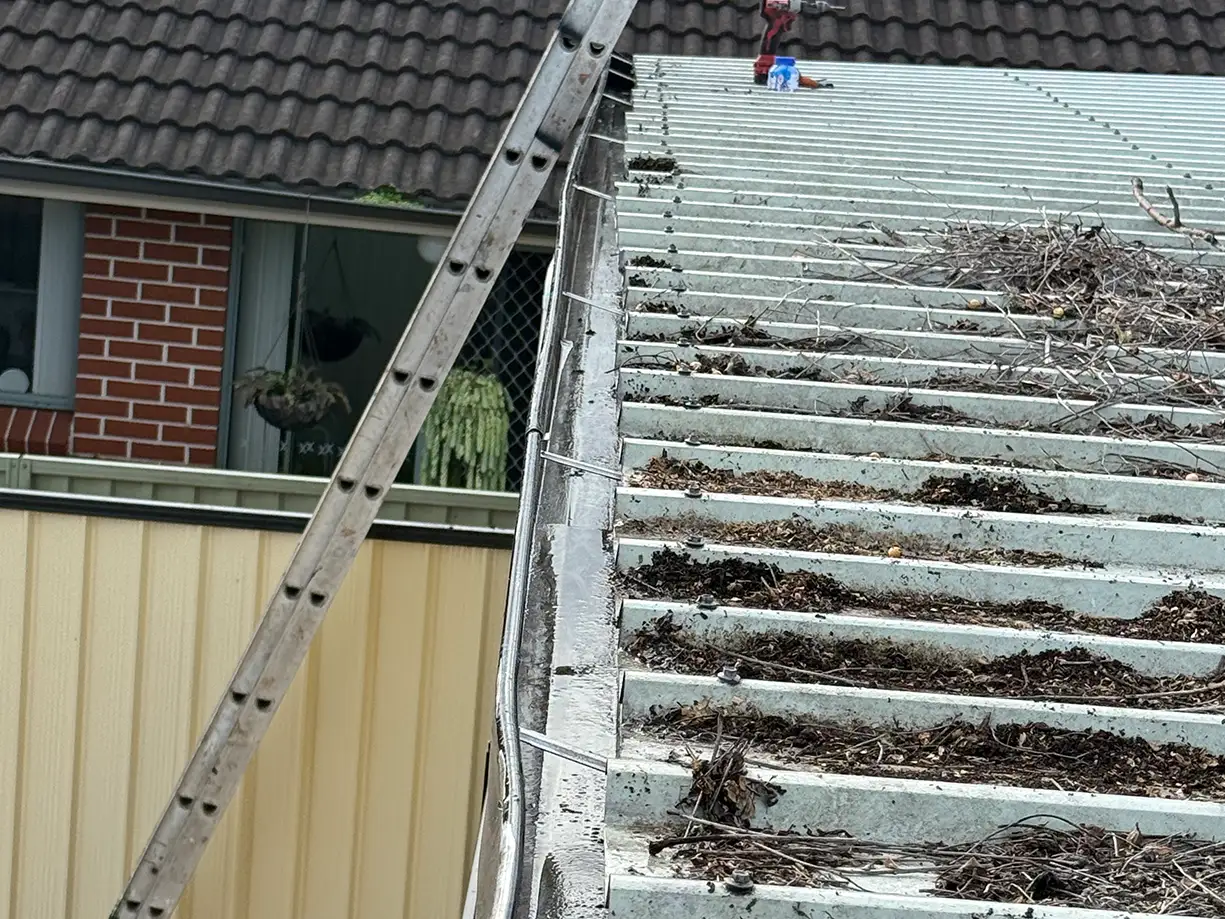 Clean gutter after pressure wash cleaning in Guildford